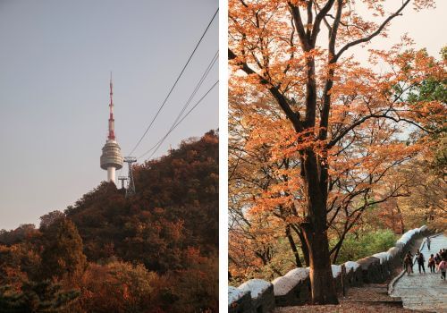 Découverte de la Namsan Tower à Séoul lors d'un voyage en Corée du Sud