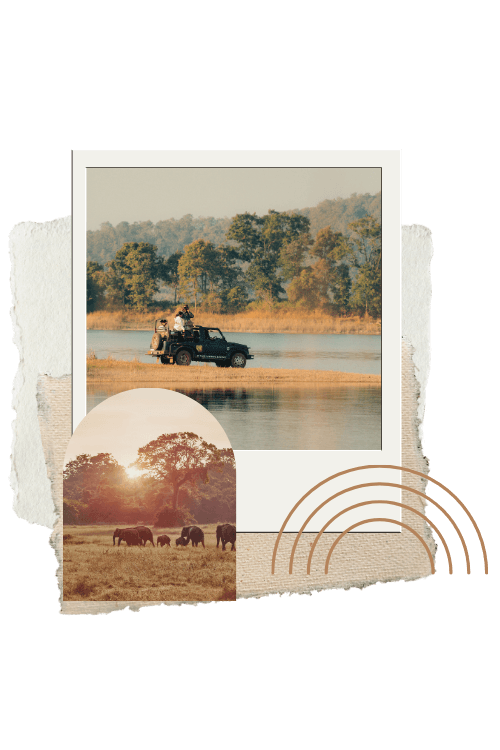 Organisation d'un road trip sur mesure en famille avec la formule Liberté de Vivons Voyage